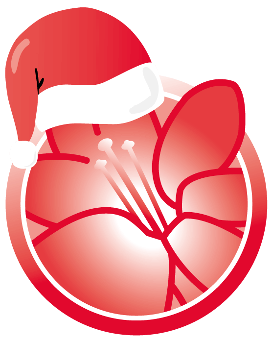Hofland_kerstmuts