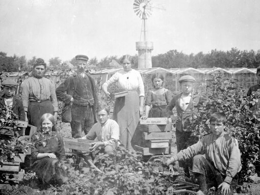 1915 bessenplukken 1820x1280px