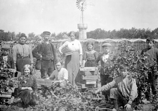 1915 bessenplukken 1820x1280px