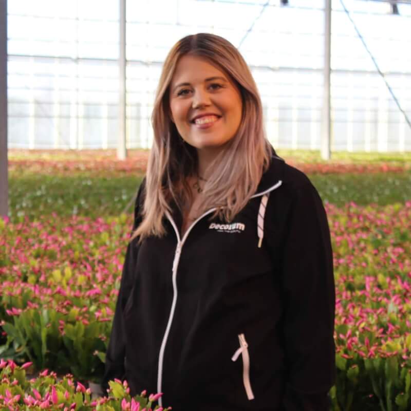 Romy Peute Hofland Flowering Plants 4
