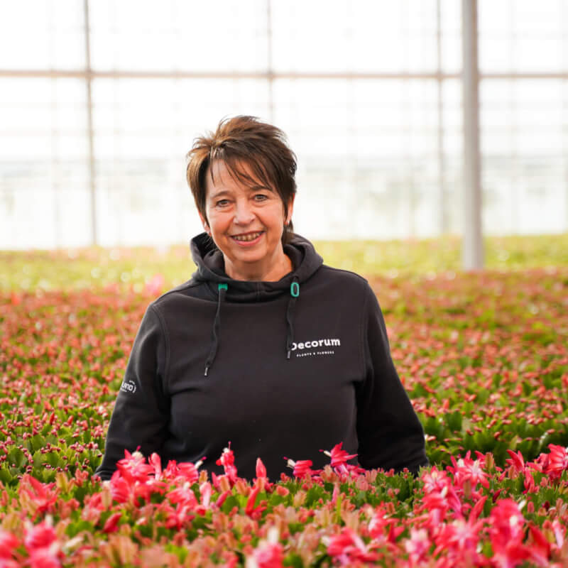 Yvonne Hofland Flowering Plants Team