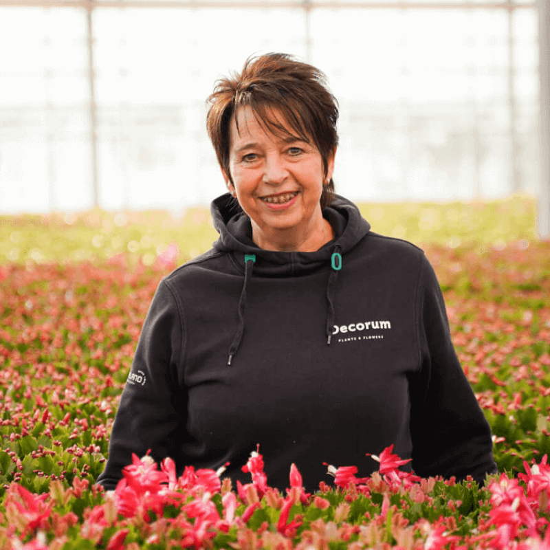 Yvonne Hofland Flowering Plants Team2